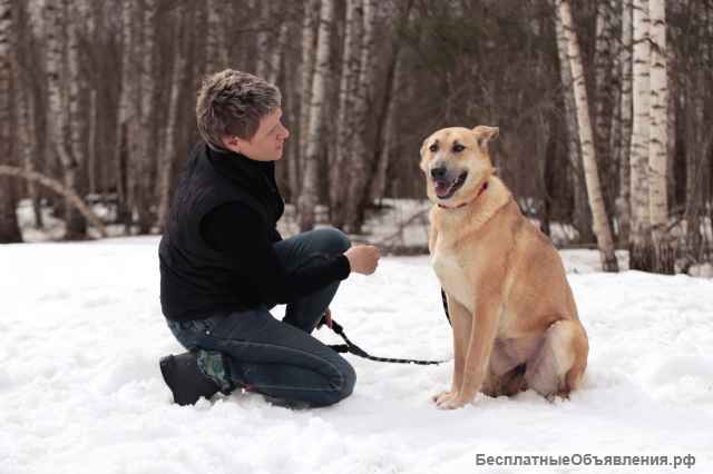 Длинноногая красавица Лилит ищет дом