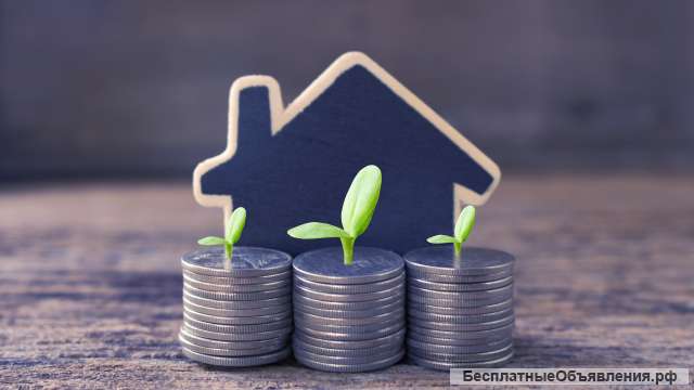 Еврозайм для крупных проектов