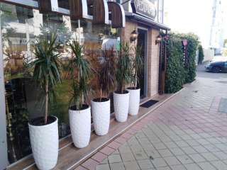 Готовый бизнес, 164 кв.м., ул. Рашпилевская