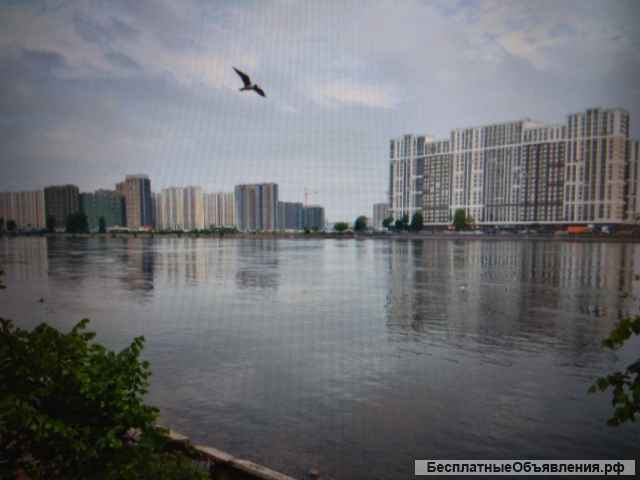 Евродвущка 40 кв. Октябрьская наб. 44