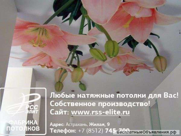РСС-Элит - выбор астраханцев