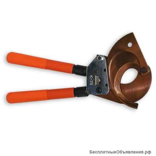 Прогрессив Северо-Запад (Санкт-Петербург)