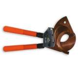 Прогрессив Северо-Запад (Санкт-Петербург)