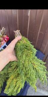 Артыш. Сарса. Арча. Арса