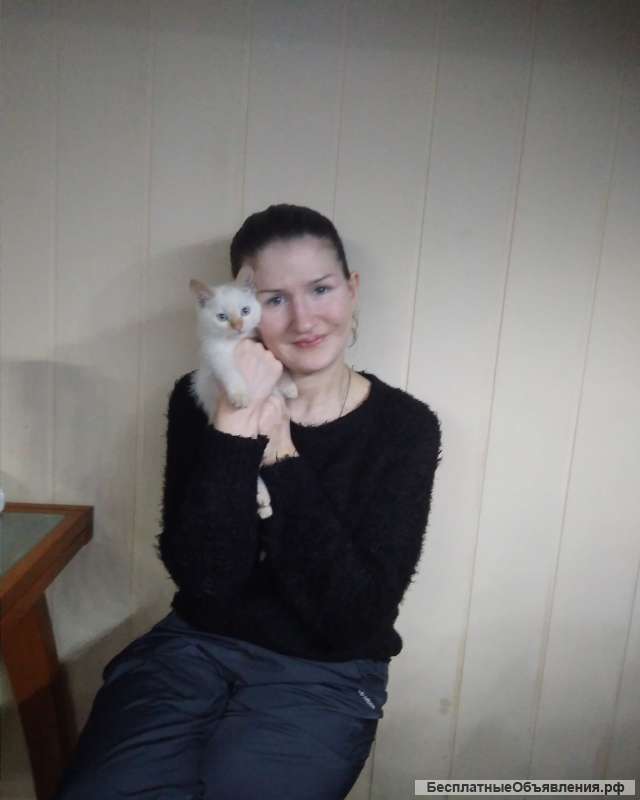 Возьму Вашего не очень габаритного питомца на передержку