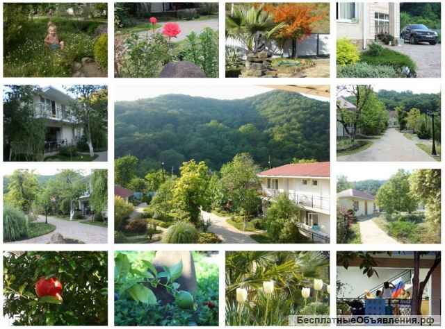 Сочи снять жилье недорого Лазаревский район Каткова Щель