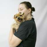 Милый энергичный пёс Марик в добрые руки