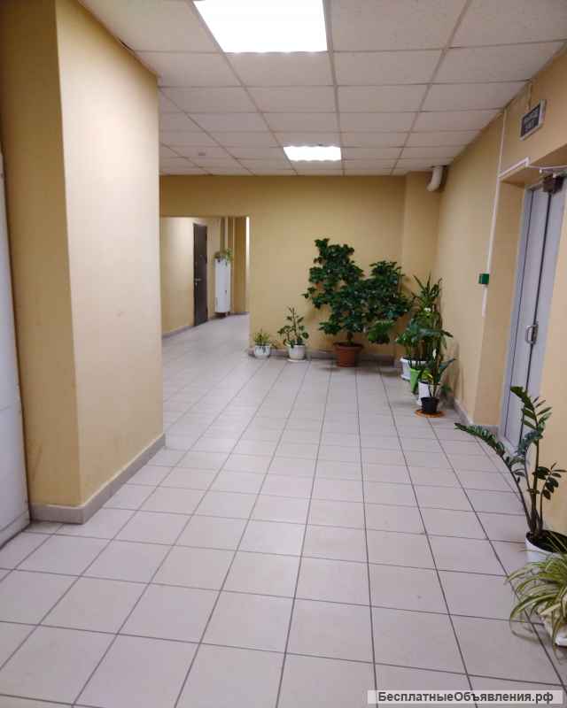 Квартиру-апартаменты 2х комнатные