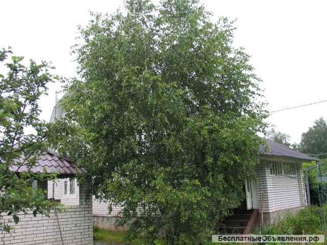 Зимний дом с постройками