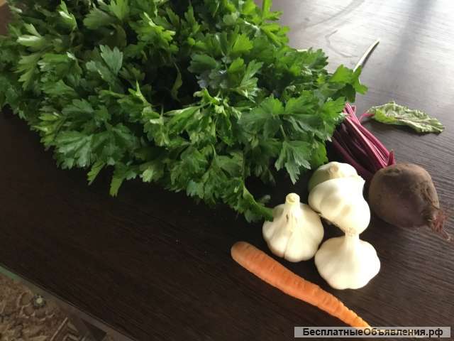 Овощи и зелень из своего огорода