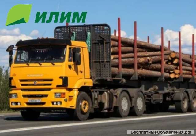 Водитель на лесовоз