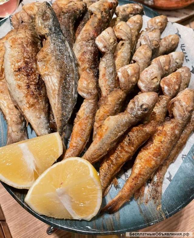 Морская рыбалка с приготовлением улова на борту