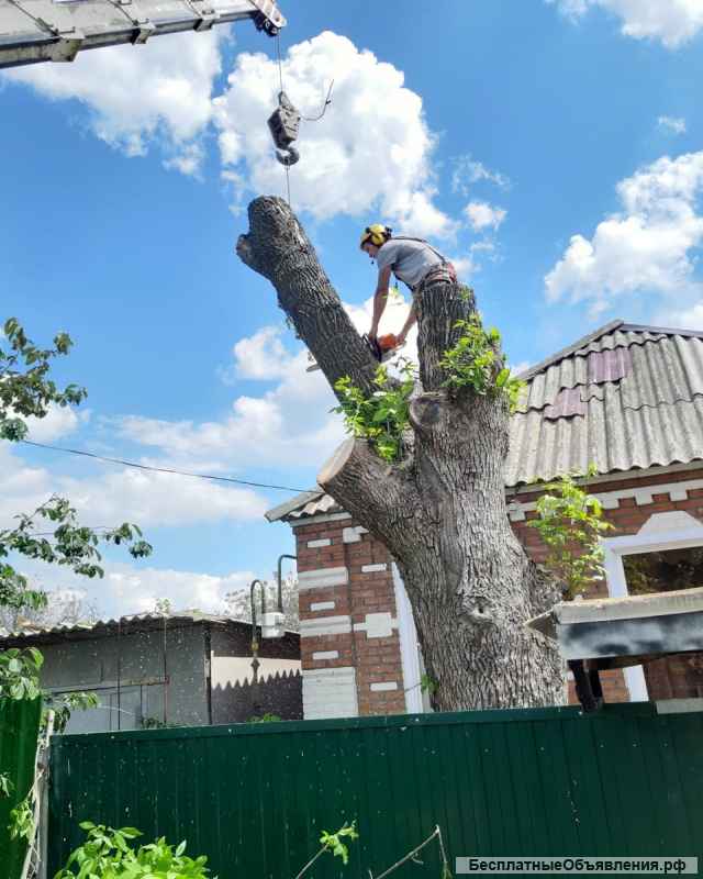 Спил и обрезка деревьев