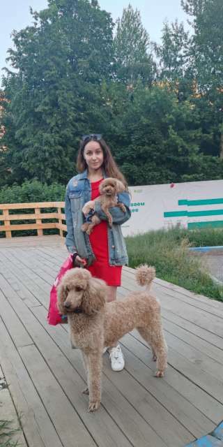 Чудесная красотка Гретта в добрые руки