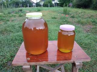 Мёд натуральный пчелиный
