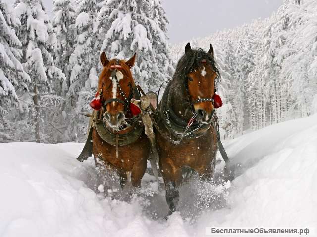 Помошница для сада-огорода