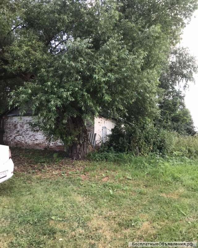 Участок в Рязанской области. Альютово.