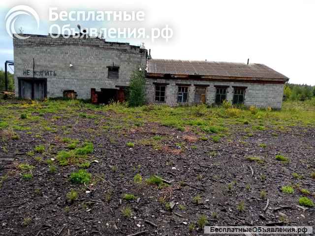 Нежилое помещение