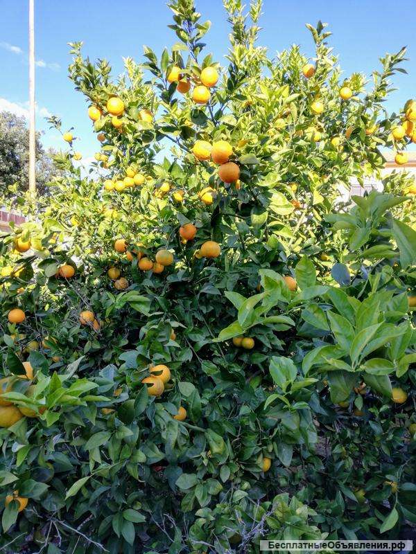 Прекрасный дом в красивом районе