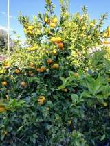 Прекрасный дом в красивом районе