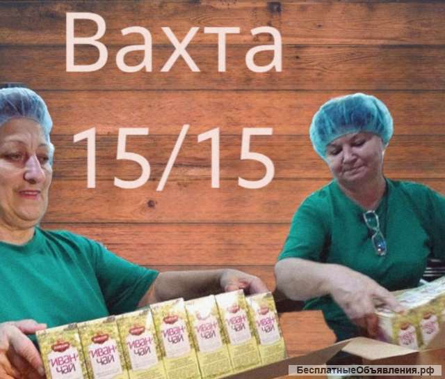 Упаковщик чая Вахта 15/30/45 Москва Жилье Питание