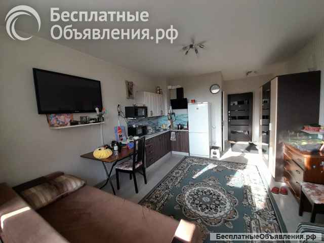 Студия 26 м2 Краснодарский Шевкунова