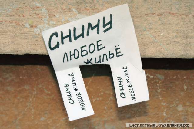 Арендую жильё