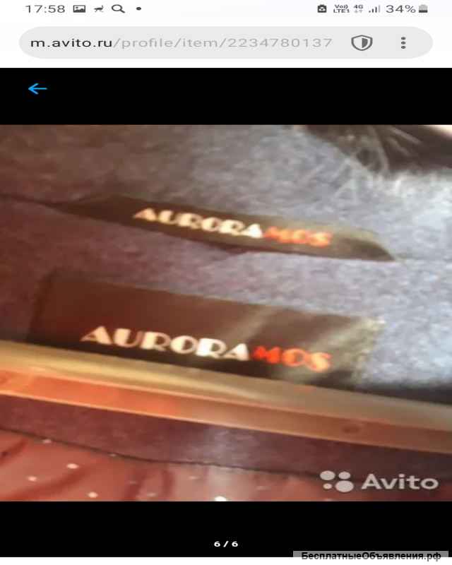 Новое пальто