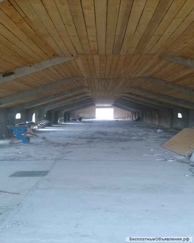 Фермы и земли 23 га