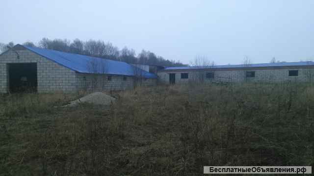 Фермы и земли 23 га