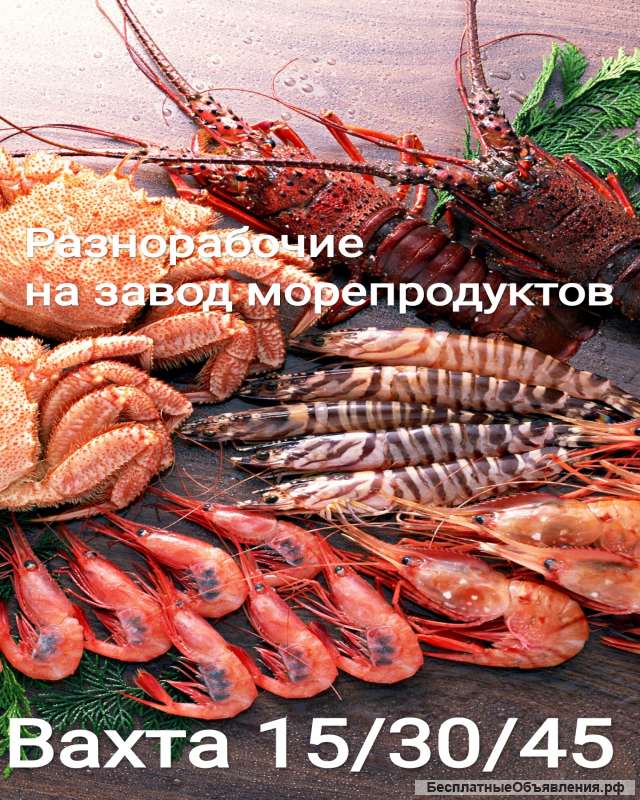 Разнорабочие на завод морепродуктов