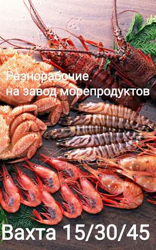Разнорабочие на завод морепродуктов