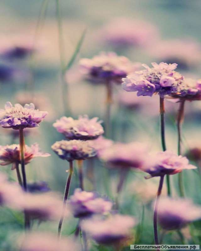 Отделка дома после строительства