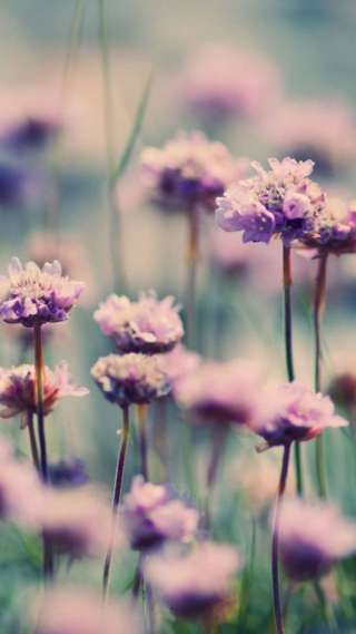 Отделка дома после строительства