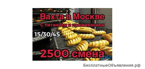 Работа вахтой Москва 15/30/45