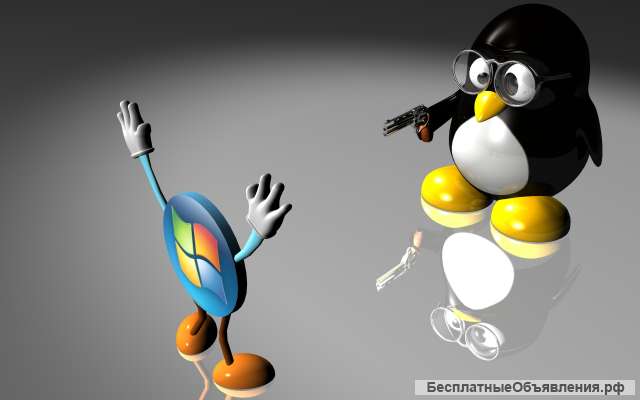 Linux на домашнем ПК: установка, настройка, техподдержка