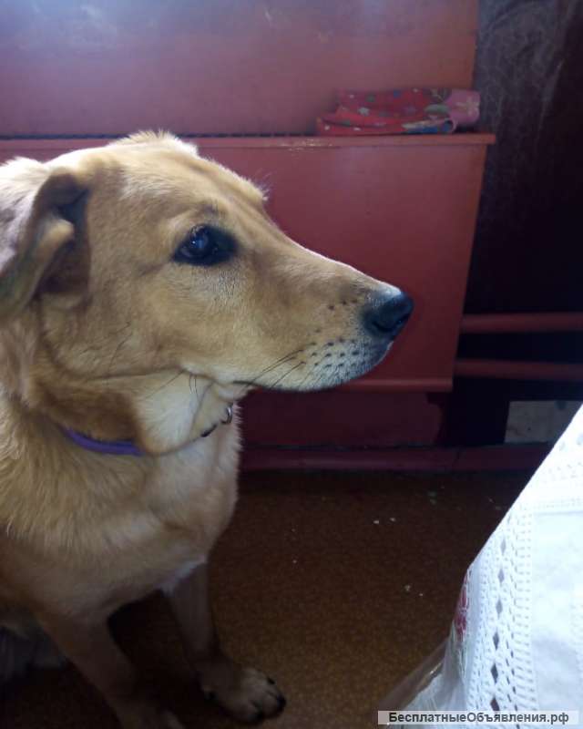 Помогите найти