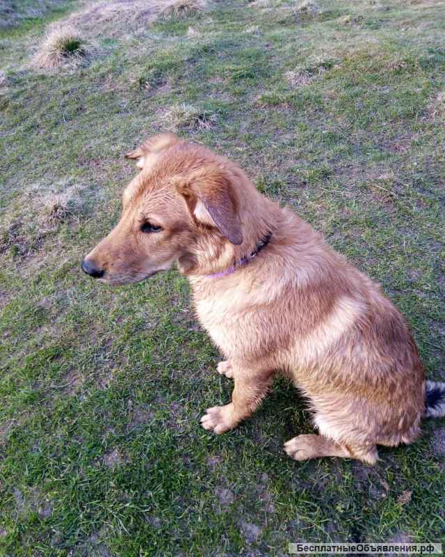 Помогите найти