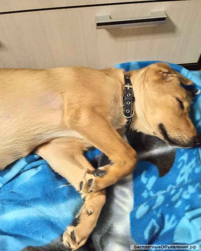 Помогите найти