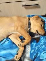 Помогите найти