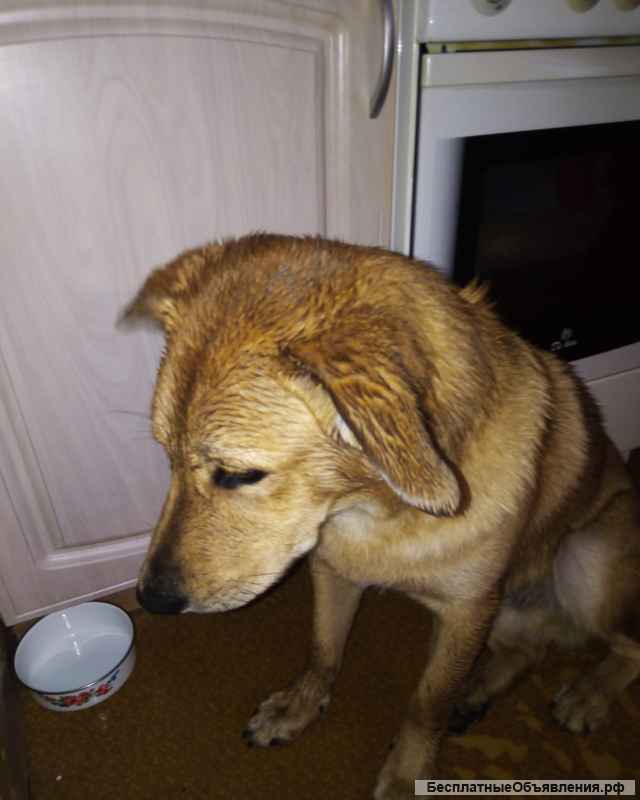 Помогите найти