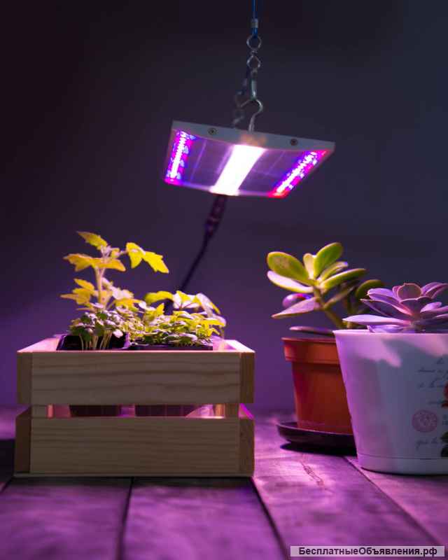 Фито светильники СОЮЗ от Российского производителя