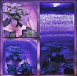 Фито светильники СОЮЗ от Российского производителя