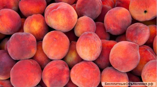 Персики