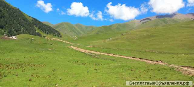 Туры в горы