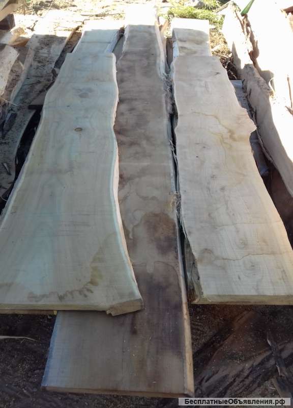 Доска акации