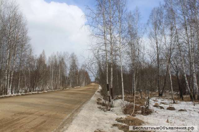 Земельного участка, 60 га д.Шамы