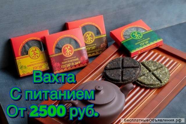 Упаковщик чая на вахту 15/30/45/60 с питанием в Москве