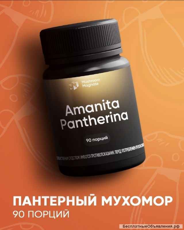 Красный/ Пантерный мухомор