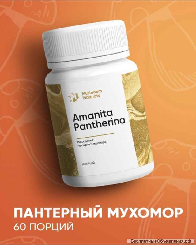 Красный/ Пантерный мухомор